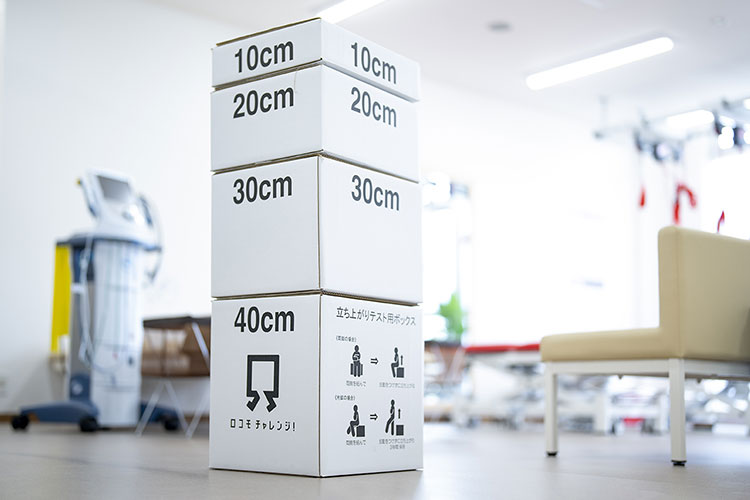 ロコモ 立ち上がりテスト台